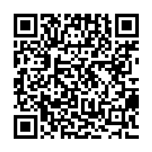 戴维设法把这个信息通知了他的妻子康妮――她是白宫发言人二维码生成