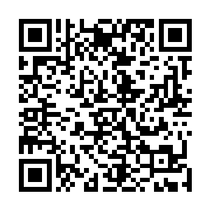 戴薇看到有女性狼人正在家门口笨拙地用狼爪编织着什么二维码生成