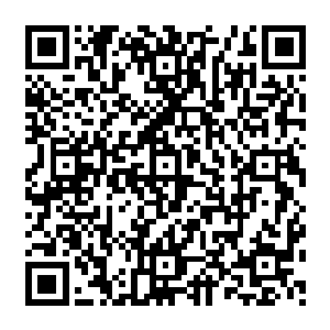 房间里萧风盯着笔记本的屏幕看着小北给他发來的资料上面是一张张照片下面则是文字注释二维码生成