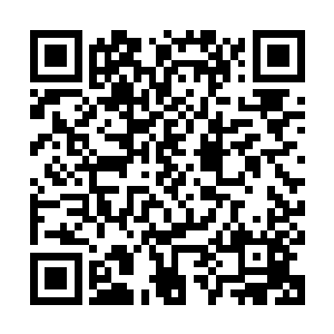 所以…他会为了什么人什么事做什么样的决定我大概能猜到几分二维码生成