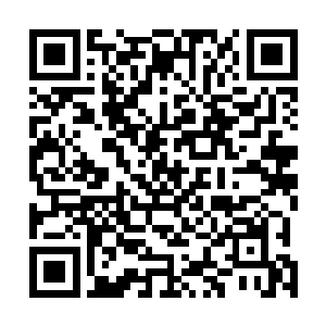 所以一大早城门开了以后墨修尧和叶璃漫步京城回到客栈二维码生成