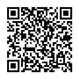 所以一早陈氏一族有些地位的男丁便与族长一同在宅门前候着了二维码生成
