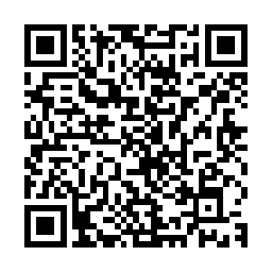 所以一条在未来会天下无敌横扫宇宙八荒的神龙在这一天诞生了二维码生成