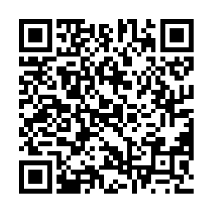 所以上古巨兽才会成为整个上古战场里面最可怕的存在二维码生成