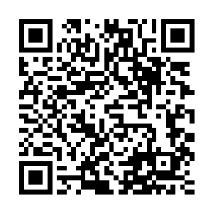 所以不在乎……但是对于我们这些在方舟里苏醒的传统舰灵来说二维码生成