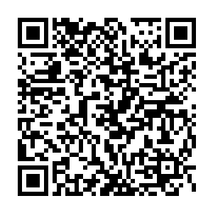 所以不能允许有不交房租还厚颜无耻的住在这里的恶劣住户存在呢二维码生成