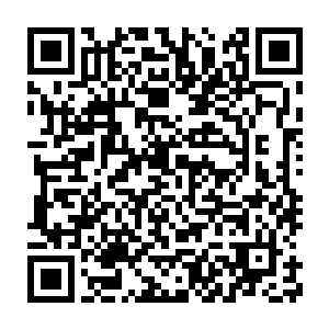 所以专门交代了保洁阿姨要为这里的每间房间定期换一些生活用品二维码生成