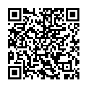 所以为了给你增加一点经验我们决定叫你去参加这档综艺节目二维码生成