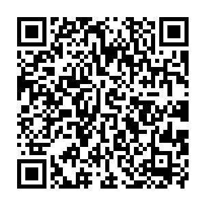 所以乔尔――布特研究小组说他们研究出了最完美的兰花我完全有理由相信他们二维码生成