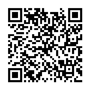所以也只能先回去跟周御龙和议长他们商量一下了二维码生成