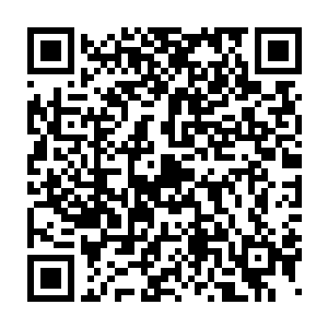 所以也没法用正常手续申请其它地区的检察院和公安部门协助调查二维码生成