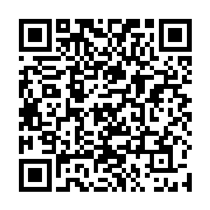 所以二货才一次又一次的强行压抑龙凤双卵的诞生时刻二维码生成