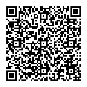 所以仅仅只是扫了一眼秦宇便是认出这两位仙王强者正是先前在君王船甲板上的仙王强者中的两位二维码生成