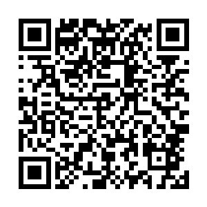 所以他们一定要在那之前找到自己的机缘和完成自己的磨练二维码生成