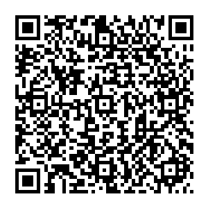 所以他们也没有必要再在这最后的一段路上犯错误……毕竟能够正常在兵王训练营中结训的特种兵二维码生成