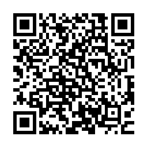 所以他们也都明白夏天此时出现在夏家家主的跟前是为了什么了二维码生成