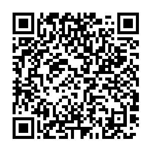 所以他们才迫切地需要啃食吸纳活人体内的阳气来中和体内的阴气二维码生成