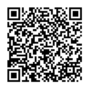 所以他们的洞府里一般最多就是能得到一个传承或者几把武器而已二维码生成