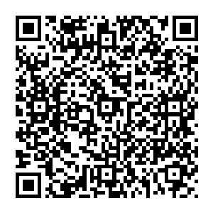 所以他们选择了用手中的物体来发泄自己对乐队的不满――亦或者是表达对乐队拉拢如此多歌迷的心的不满二维码生成