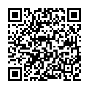 所以他始终无法完全客观的去看待生母以及陆家二维码生成