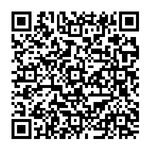 所以他干脆一下子把封药师种在药田里的另外两株紫阳草也一并全都挖走移植在了云海洞里二维码生成