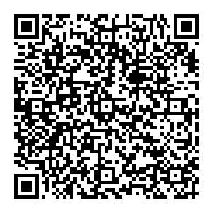 所以他必须要透过一个单位部门工作实绩或者一个地区的社会经济发展状况这个表象来看领导干部德能勤绩这个本质二维码生成