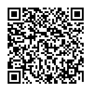 所以他才会这么不紧不慢地在自己性命垂危的时候和叶秋这么淡定地聊着天二维码生成