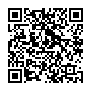 所以他才能在部落还未安稳时就敢把首领和守护神全部带走二维码生成