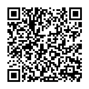 所以他敢用一千万的价格把这块在大多数人看来最多只值一百万的料子收进来二维码生成
