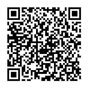 所以他现在唯一能想到的办法就是把熊孩子带到神秘的诅咒商店里面二维码生成