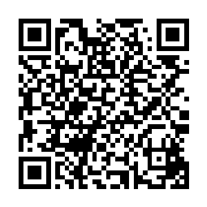 所以他的柒角号与柒角冒险佣兵团在冒险界还是有些地位的二维码生成