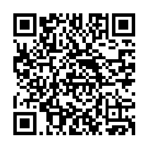 所以他的追根溯源自纯血血妖姬流墨墨的高等上品的血妖姬血脉二维码生成