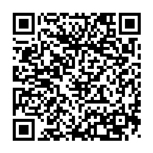 所以你就给你甄叔建议厂里应该要主动出击去争取大飞机项目的复工二维码生成
