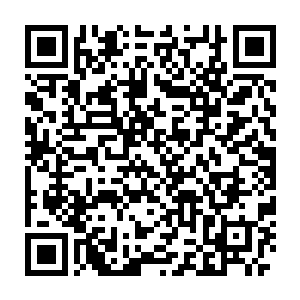 所以你现在如果没有办法让我觉得我把你带出去不会有什么危险的话二维码生成