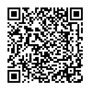 所以便是第一眼客观的事实给她的主观感受很容易就主宰了她最后的决定二维码生成