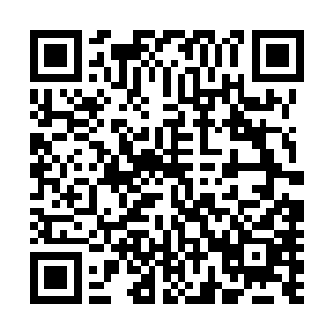 所以僵尸的眉心之后便分布着他最简单的思维行动神经意识二维码生成
