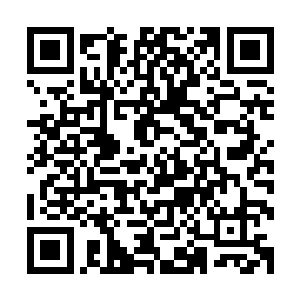 所以其他普通古尸体内的枯朽之力没有积累到杀死它们的程度二维码生成
