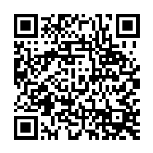 所以刚才的那一幕给他们带来的视觉冲击和心灵震撼极强……二维码生成