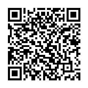 所以到现在为止华国这边也没有跟任何媒体签署直播转播等协议二维码生成