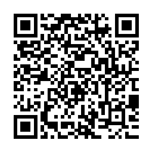 所以剑尘特意在皇宫内为他安排了一栋宫殿作为他的居住之地二维码生成
