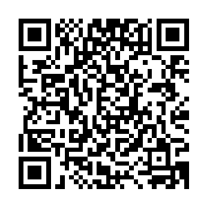 所以哪怕是同样寄生在楚旬体内的炼妖壶和混沌钟甚至是盘古幡二维码生成