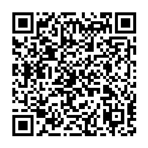 所以啊……老四他就算这一次受到一点儿感情的挫折也没什么大不了的二维码生成