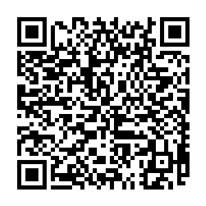 所以在一年以前哈迪斯已经将我任命为万苦血狱五大镇狱使中的北镇狱使二维码生成