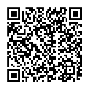 所以在上周回江州市前特意叮嘱过刘一维帮他们找一三室两厅的公寓出租房二维码生成