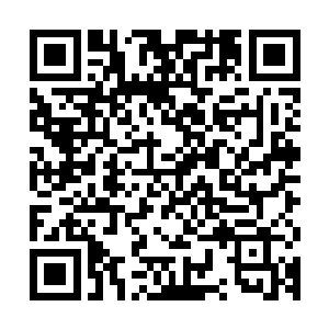 所以在冬天里永远用不用款式的裘皮大衣把自己包裹得严严实实二维码生成