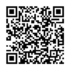 所以在十二远古天尊没有明确表现出他们的意图之前二维码生成