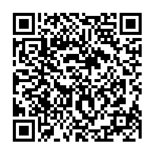 所以在回来的途中总是有意无意地向喜臻问一些看似与此事无甚关系的问题二维码生成