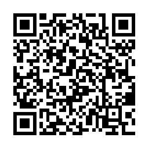 所以在森林中还是非常谨慎的注意有没有连枫的踪迹二维码生成