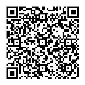 所以在那些不为人们记录的某个旮旯里仍旧有很多数百年甚至是数千年生的灵药灵草二维码生成