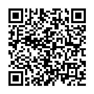 所以墨菲托斯绝对不允许楚旬将迪亚波罗改造成和他一样的法相二维码生成